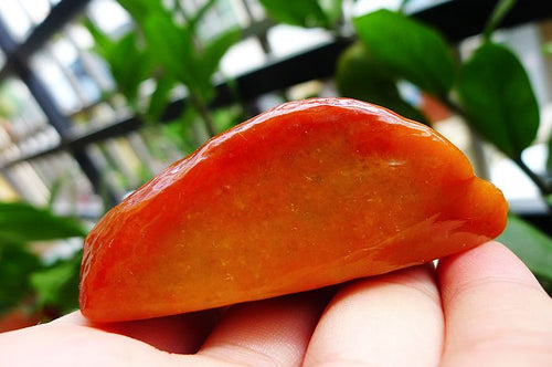 Natural Jade Rough Jadeite Raw