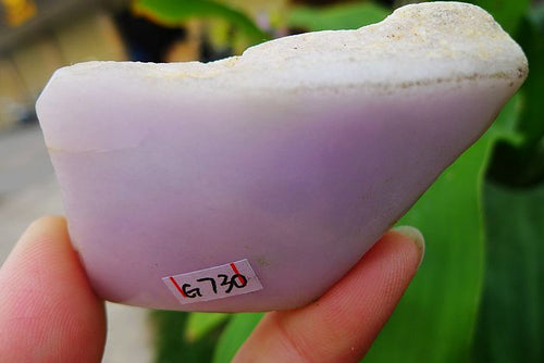 Natural Jade Rough Jadeite Raw