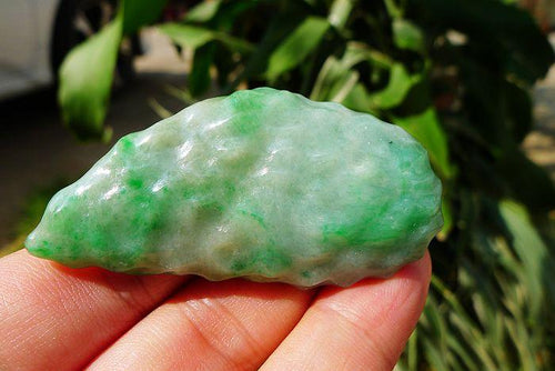 Natural Jade Rough Jadeite Raw
