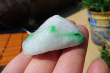 Natural Jade Rough Jadeite Raw