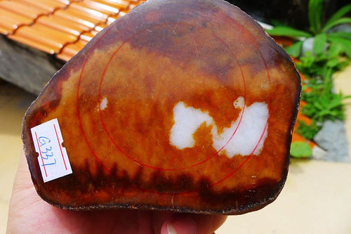 Natural Jade Rough Jadeite Raw