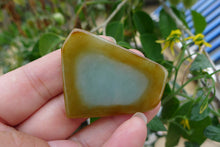 Natural Jade Rough Jadeite Raw S-82g