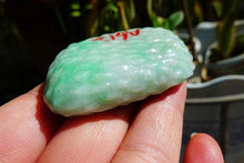 Natural Jade Rough Jadeite Raw