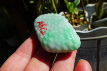 Natural Jade Rough Jadeite Raw