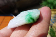 Natural Jade Rough Jadeite Raw