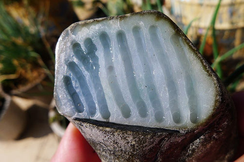 Natural Jade Rough Jadeite Raw