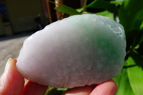 Natural Jade Rough Jadeite Raw