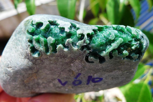 Natural Jade Rough Jadeite Raw