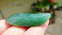 Natural Jade Rough Jadeite Raw